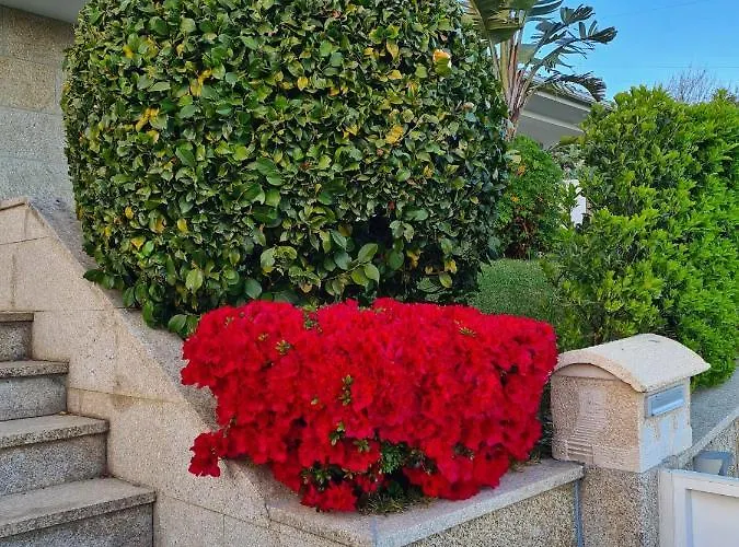 Hébergement de vacances Casa Serra Dos Picos - Casa De Ferias, Braga